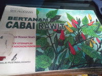 Image of Bertanam Cabai Rawit