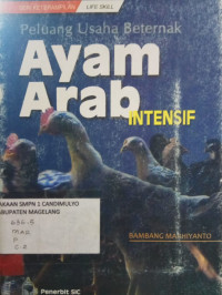Image of PELUANG USAHA BETERNAK AYAM ARAB INTENSIF