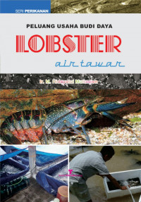 Image of PELUANG USAHA BUDIDAYA LOBSTER